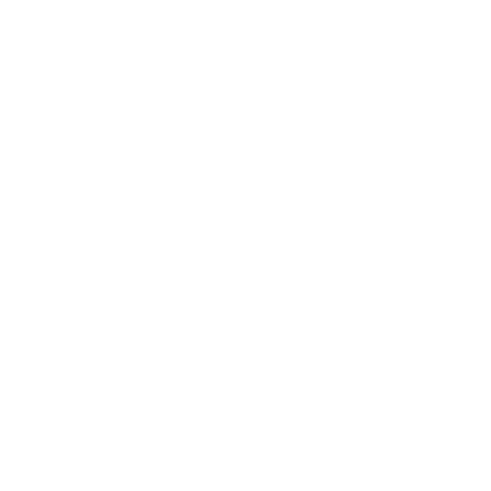 SANGLE SACOCHE CENTRALE