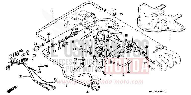TUYAU D'EAU/THERMOSTAT de Goldwing CANDY SPECTRA RED (R176K) 2000