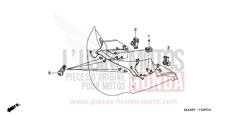 FAISCEAU DE CARENAGE de Goldwing CANDY SPECTRA RED (R176K) de 2000