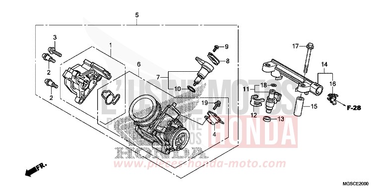 CORPS DE PAPILLON de Integra PEARL SUNBEAM WHITE (NHA66) 2013