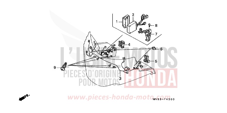 FAISCEAU DE CARENAGE de Goldwing CANDY SPECTRA RED (R176) de 1992