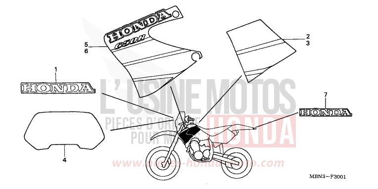 RAYURE (XR650R1) de XR650R FIGHTING RED (R134) 2001