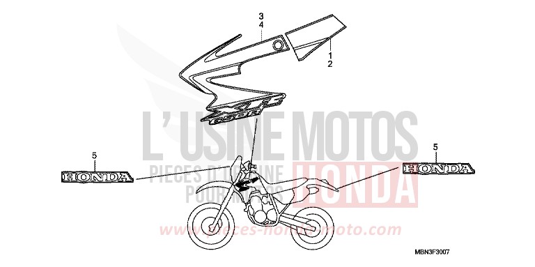 RAYURE (XR650R7) de XR650R FIGHTING RED (R134) 2007