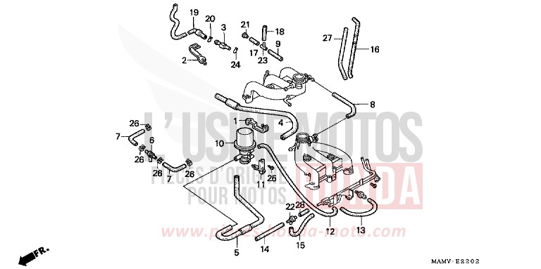 TUBULURE (2) de Goldwing CANDY SPECTRA RED (R176) de 1997