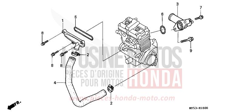 TUYAU D'EAU de CB500F FIGHTING RED (R134) 1994