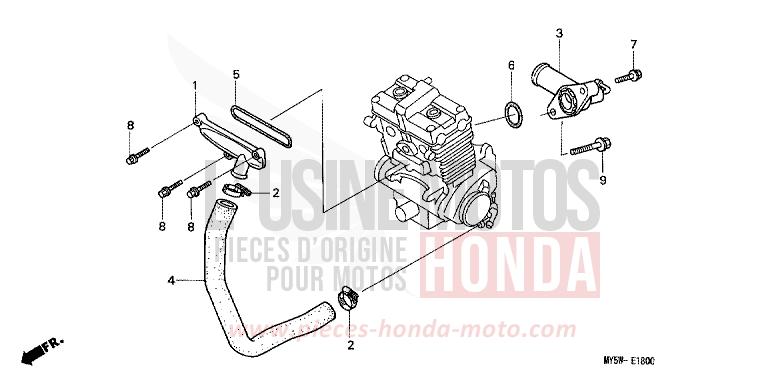 TUYAU D'EAU de CB500F PROCYON RED METALLIC (R203) de 1996