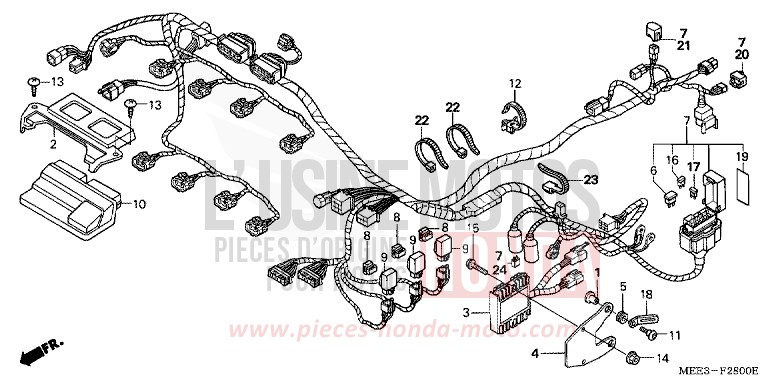 FAISCEAU DES FILS de CBR600RR PEARL FLASH YELLOW (Y163) 2003