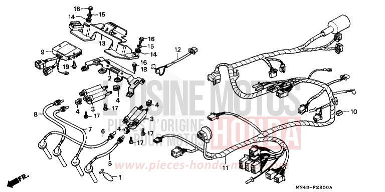 FAISCEAU DES FILS de CBR600F FIGHTING RED (R134A) 1987