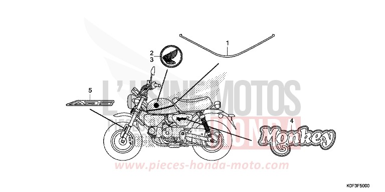 MARQUE/RAYURE de Monkey PEARL NEBULA RED (R376) 2019