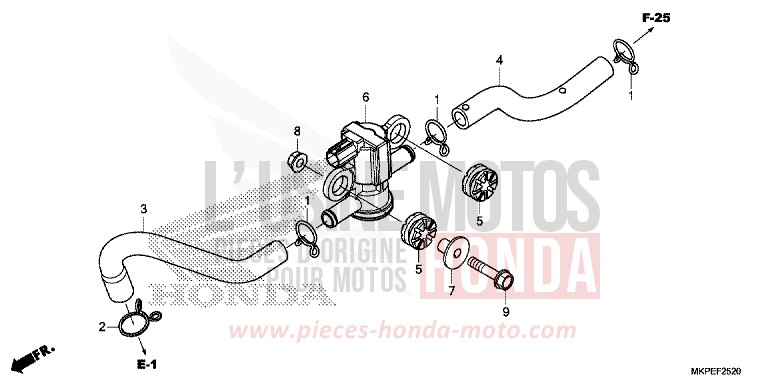 ELECTROVANNE INJECTION D'AIR de CB500F MAT AXIS GRAY METALLIC (NH303) 2022