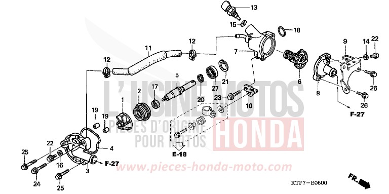 POMPE A EAU de SH125 PEARL HAVANA BROWN (YR284) 2007
