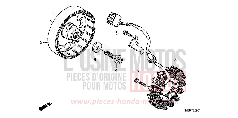 GENERATRICE (CBF600S8/SA8/N8/NA8) de CBF600N PEARL SIENA RED (R320) 2008