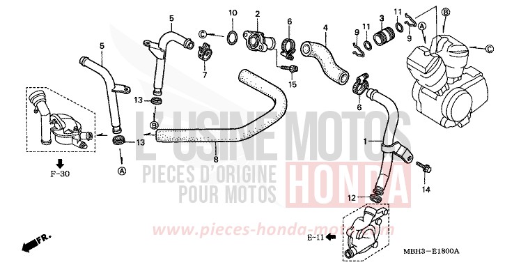 TUYAU D'EAU de Shadow SOMERSET ORANGE (R237A) de 1999
