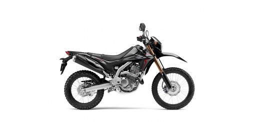 CRF250L de 2019