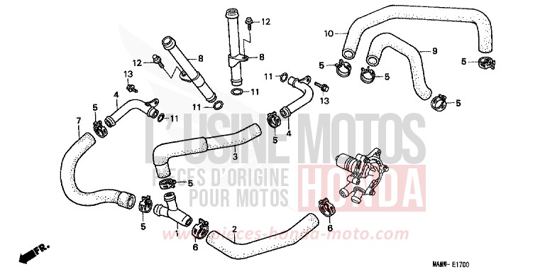 TUYAU D'EAU de Transalp TASMANIA GREEN ME (G142G) de 1999