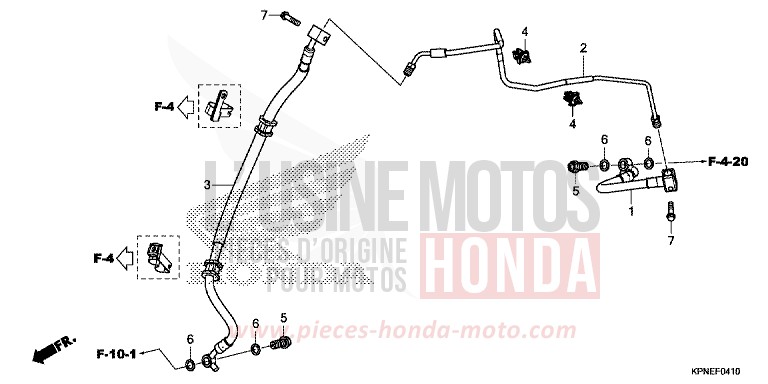 TUYAU DE FREIN (GLR1251WHH) de CBF125 CANDY BLAZING RED (R195) de 2017