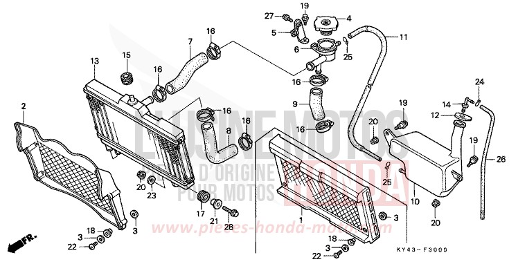 RADIATEUR de NSR125R REAL WHITE (NH250G) de 1990