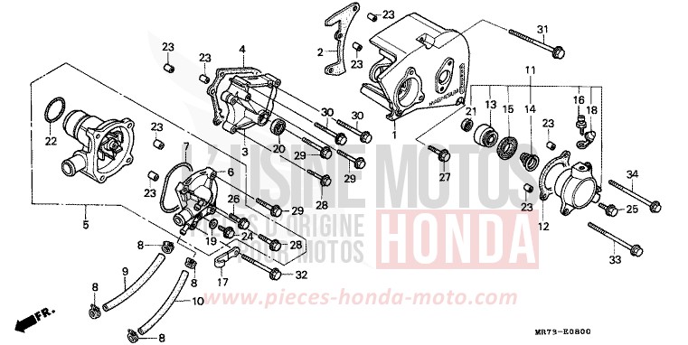 PANNEAU CARTER-MOTEUR G./ POMPE A EAU de RC30 PEARL CRYSTAL WHITE (NH193H) 1988