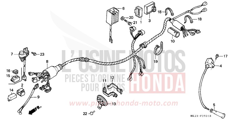 FAISCEAU DES FILS de XR600R SHASTA WHITE (NH138H) 1991