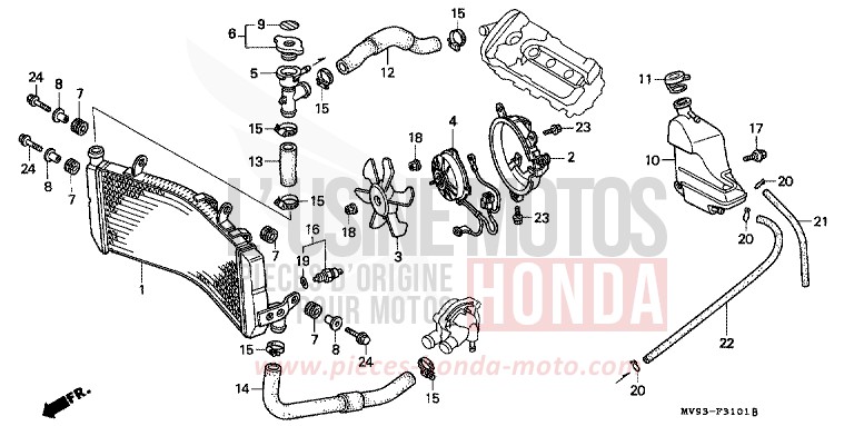 RADIATEUR (CBR600FS/3S/T/3T/SET) de CBR600F ROSS WHITE (NH196K) 1995
