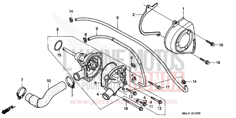 POMPE A EAU de CBR600F SPARKLING RED (R127A) 1997