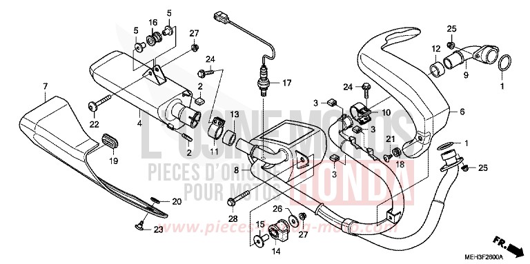 SILENCIEUX D'ECHAPPEMENT de DN-01 GRAPHITE BLACK (NHB01) 2009