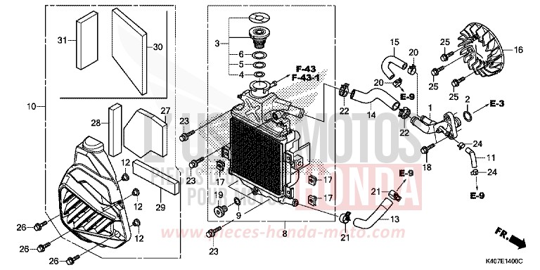 RADIATEUR de Forza MAT CYNOS GRAY METALLIC (NH312) de 2016