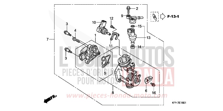 CORPS DE PAPILLON de Innova FORCE SILVER METALLIC (NH411) de 2007