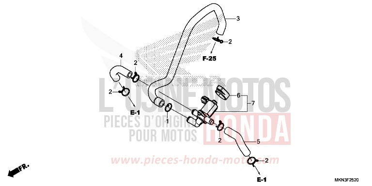 VALVE COMMANDE INJECTION D'AIR de CB650R CANDY CHROMOSPHERE RED (R381) 2019