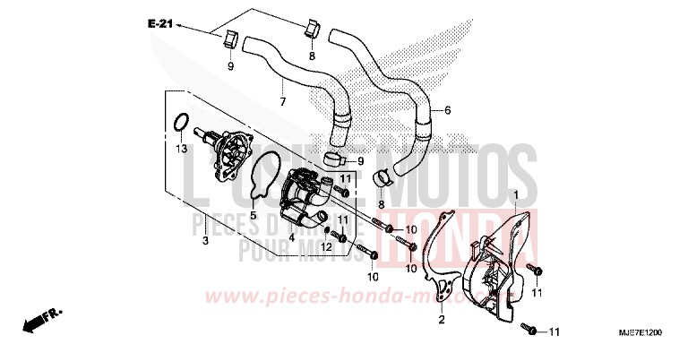 POMPE A EAU de CBR650F PEARL METALLOID WHITE (NHA96) 2018