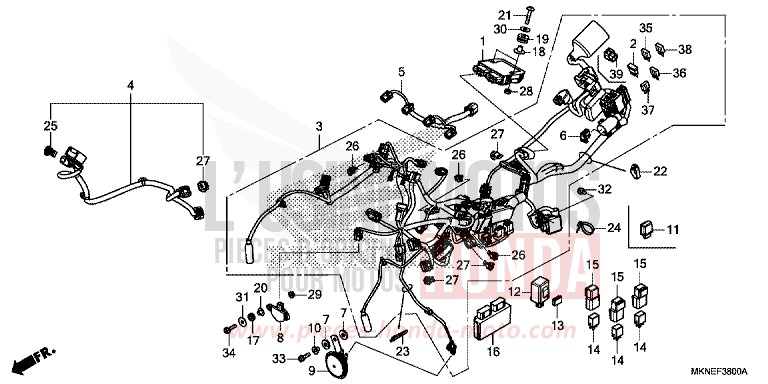 FAISCEAU DES FILS de CBR650R GRAND PRIX RED (R380) 2019