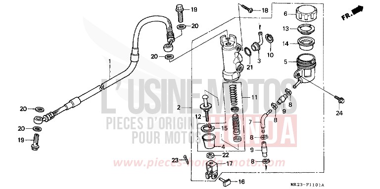 BREMSPLATTE, HINTEN de XR600R SHASTA WHITE (NH138H) 1991