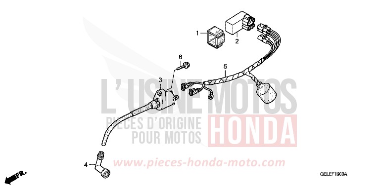 FAISCEAU DES FILS de CRF50F EXTREME RED (R292) de 2004
