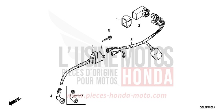 FAISCEAU DES FILS de CRF50F EXTREME RED (R292) de 2013