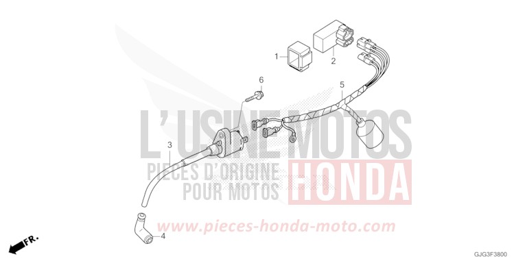 FAISCEAU DES FILS de CRF50F EXTREME RED (R292) de 2022