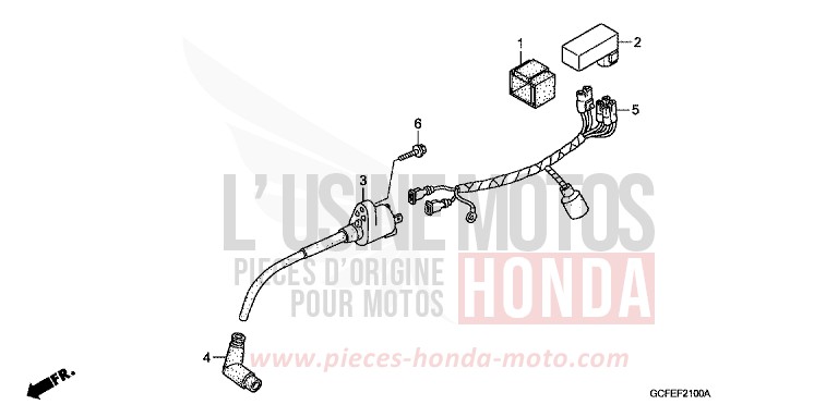 FAISCEAU DES FILS/BOBINE D'ALLUMAGE de CRF70F EXTREME RED (R292) de 2004