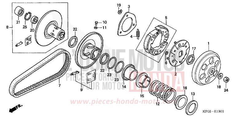 COTE MENE (FES2505) de Foresight PEARL MONTANA BLUE (PB351) de 2005