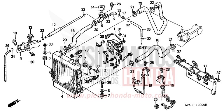 RADIATEUR de Foresight PEARL SIERRA GREEN (G156) 2000