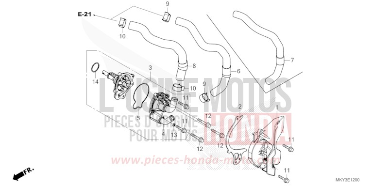 POMPE A EAU de CB650R MAT JEANS BLUE MATALLIC (PB417) 2023