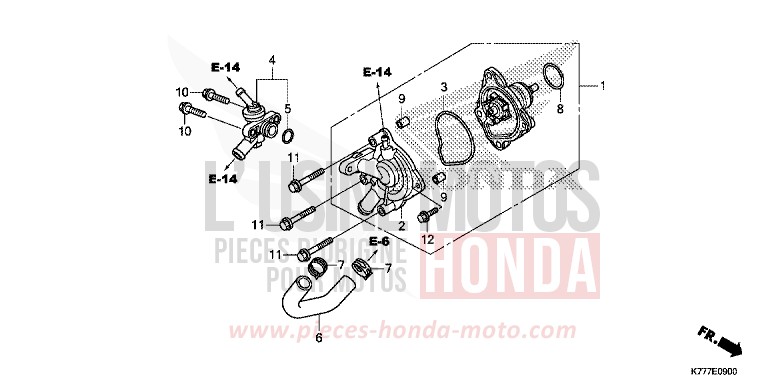 POMPE A EAU de SH125 PEARL SPLENDOR RED (R369) de 2019