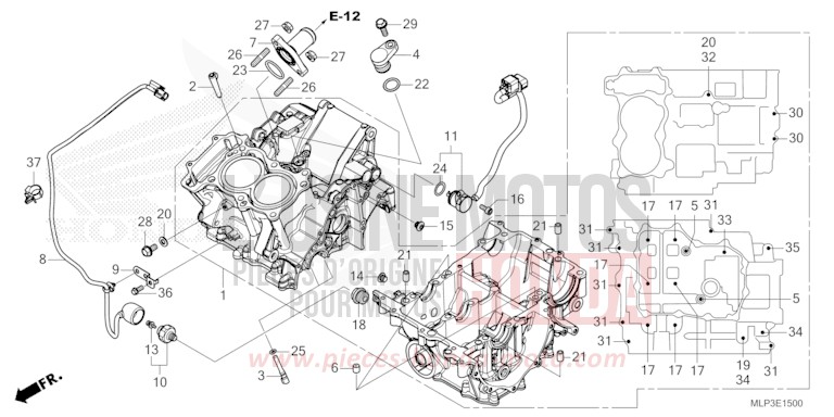 CARTER MOTEUR de CL500 CANDY ENERGY ORANGE (YR249) de 2023