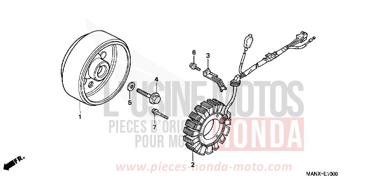 GENERATRICE de Dominator GRANADA BLUE METALLIC (B152E) de 1999