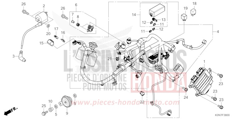 FAISCEAU DES FILS de CBF125 PEARL COOL WHITE (NHA16) de 2021