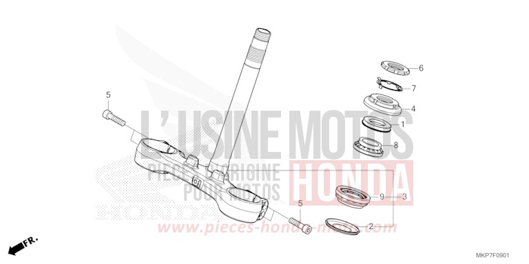 TIGE DE DIRECTION (CB400XAN,CB500XAN/P) de CB500X PEARL ORGANIC GREEN (GY157) de 2022