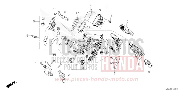 FAISCEAU DES FILS de CRF450R EXTREME RED (R292) 2024