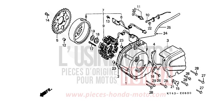 PANNEAU CARTER-MOTEUR G./ GENERATRICE de NSR125R REAL WHITE (NH250H) 1992