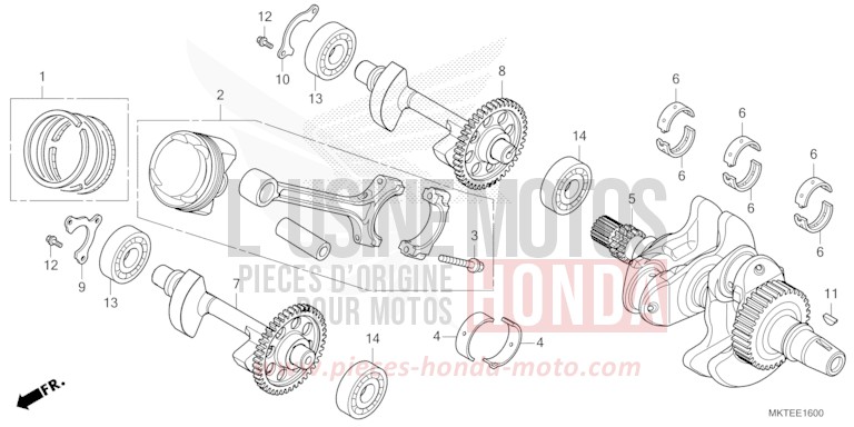 VILEBREQUIN/PISTON de X-ADV MAT GOLDFINCH YELLOW (Y242) de 2025