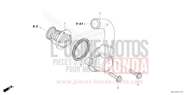 THERMOSTAT de REBEL CANDY ENERGY ORANGE (YR249) 2025