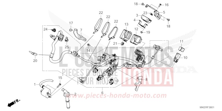 FAISCEAU DES FILS (CRF450RS/RWES/RXS) de CRF450R EXTREME RED (R292) 2025