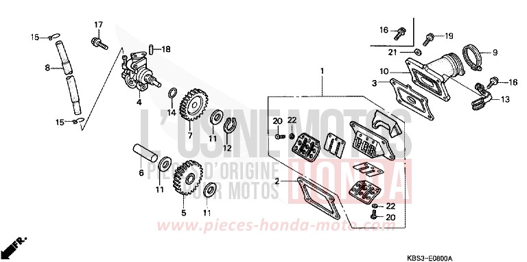 POMPE A HUILE/ANCHE SOUPAPE de NSR125R MOODY BLUE METALLIC (PB296K) 2000